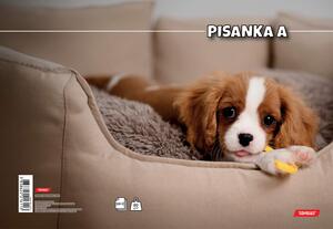 Pisanka A TARGET, B5 linije, 16 listova, meko izdanje
