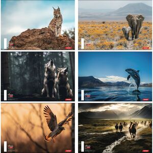 Set bilježnica, Target Animal, A4, kvadratići 54 lista, meki uvez, 10 KOM