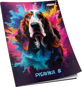 Pisanka B Connect Girl+ Soft, B5 linije, 24 listova, meki uvez