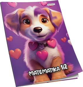 Pisanka matematika za 1 i 2 razred Premium Connect Girl, B5 kvadratići, 24 lista, meki uvez