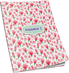 Pisanka C Connect Girl+ Soft, B5 linije, 32 listova, meki uvez