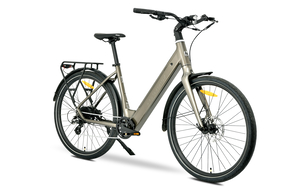 MS ENERGY eBike Zorya Bronze