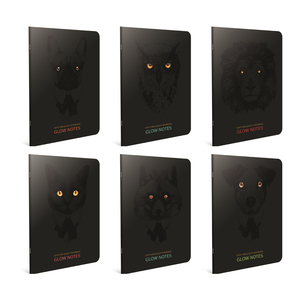 Set bilježnica Glow notes, A4 linije, 40 lista, meki uvez, 10 KOM