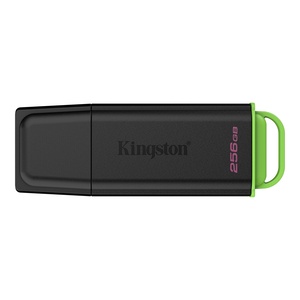 USB memorija Kingston DataTraveler Exodia DTXG2/256GB