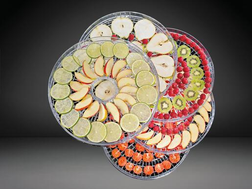 Gorenje aparat za sušenje hrane FDK 24 DW