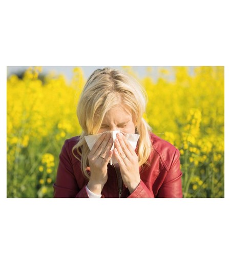 BONECO ovlaživač zraka P340