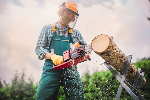 EINHELL akumulatorska lančana pila GE-LC 36/35 Li - Power X-Change - SOLO ALAT (bez baterije i punjača)