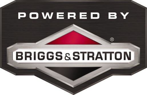 Einhell motorna samohodna kosilica GC-PM 46/1 B&S