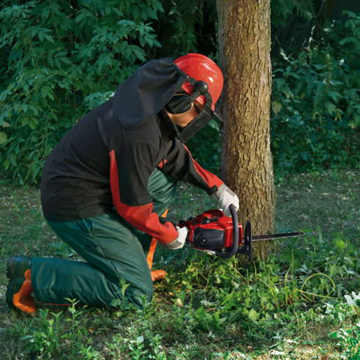 EINHELL motorna pila GC-PC 1235 I (1,2 kW, 35 cm duljina mača, Oregon mač i lanac)