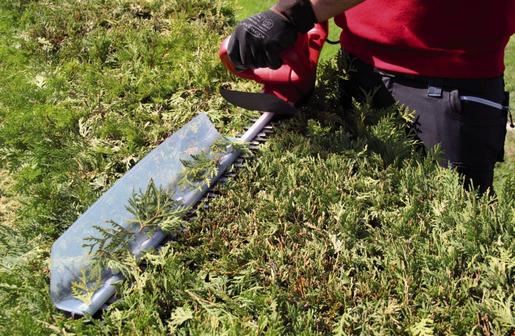 EINHELL električne škare za živicu GC-EH 6055