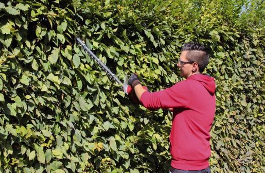 EINHELL električne škare za živicu GC-EH 6055