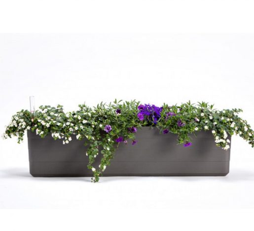 PLASTIA Berberis 80 posuda za cvijeće sa spremnikom za vodu