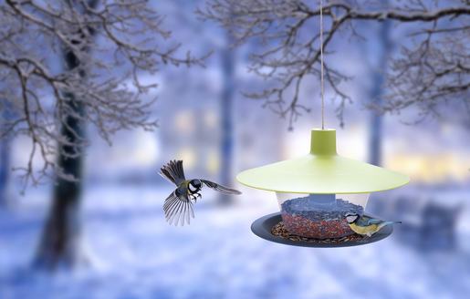 PLASTIA Finch hranilica za ptice, zelena