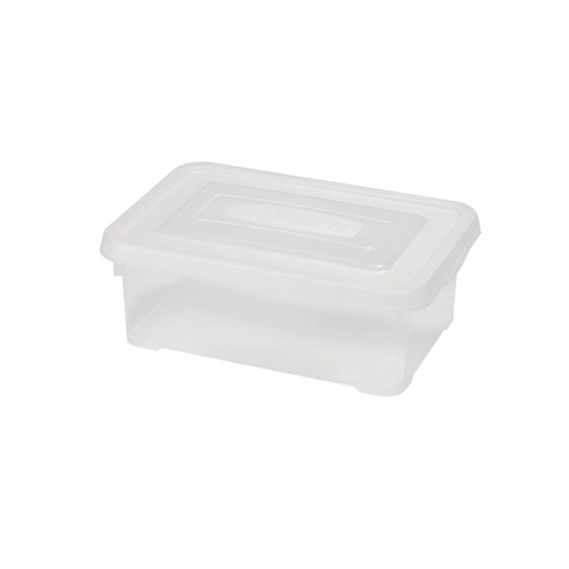 CURVER kutija za spremanje HANDY, 4L (29,4 x 19,4 x 10 cm)