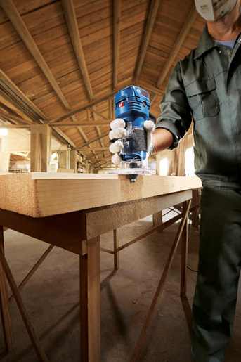 BOSCH Professional glodalica GKF 550