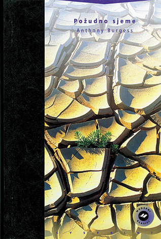 POŽUDNO SJEME (MEKI UVEZ), Burgess