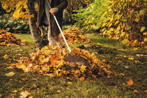 FISKARS grablje za lišče lagane 25z 1720 mm