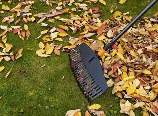 FISKARS grablje za lišće QuikFit 520mm (25z) nenasađene