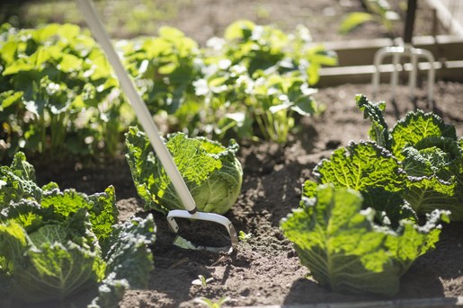 FISKARS čupač korova lagani (1720 x 150 mm)