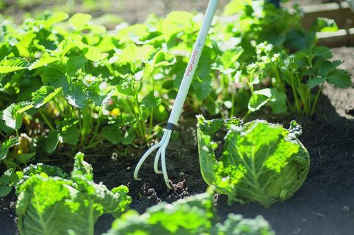 FISKARS kultivator lagani sa 3 zupca (1640 x 90 mm)