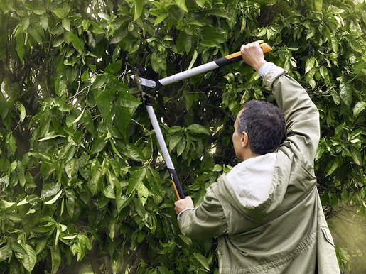 FISKARS škare za grane PowerGearX LX99 800mm