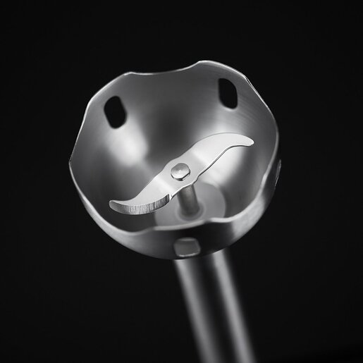 RUSSELL HOBBS mikser 24690-56 Desire