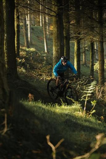 ORBEA električni bicikl WILD HT 40 29S RED-BLK 2019