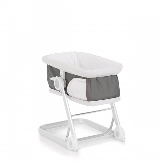 iCoo Grow with me 1-2-3 bug