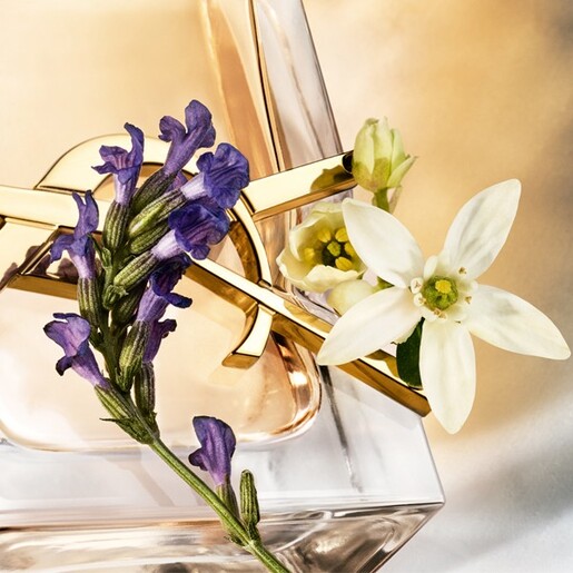 Yves Saint Laurent Libre, edp 30 ml, ženski parfem