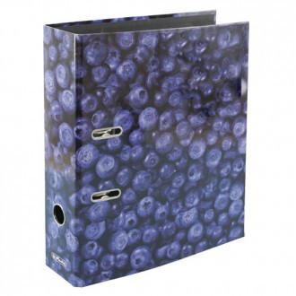 Registrator samostojeći A4, 8 cm, Borovnica, Herlitz