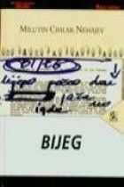 Bijeg, Milutin Cihlar Nehajev