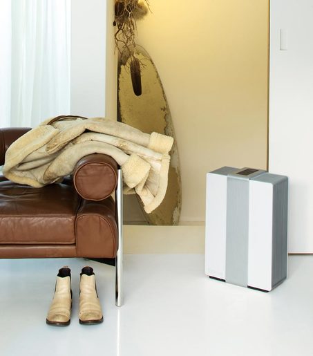 Stadler Form 2 U 1 ovlaživač i pročišćivač zraka Robert