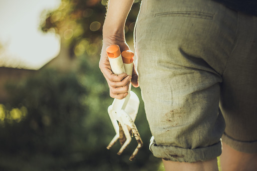 FISKARS kultivator ručni 276x76mm Solid bijeli 1027034