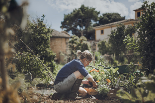 FISKARS lopatica za presađivanje 291mm Solid bijela 1027033