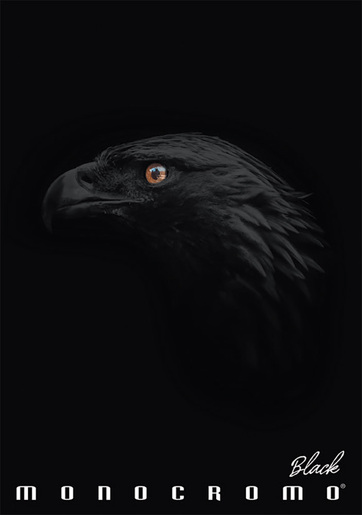 Bilježnica Pigna Monocromo Black A4, kvadratići, meki uvez