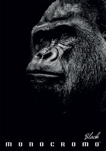 Bilježnica Pigna Monocromo Black A4, kvadratići, meki uvez