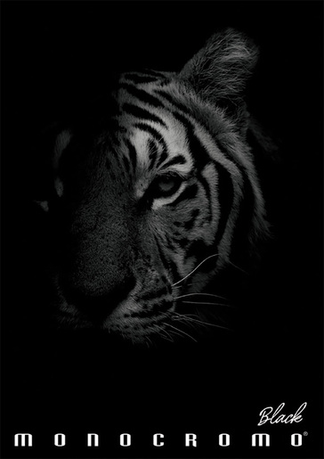 Bilježnica Pigna Monocromo Black A4, kvadratići, meki uvez