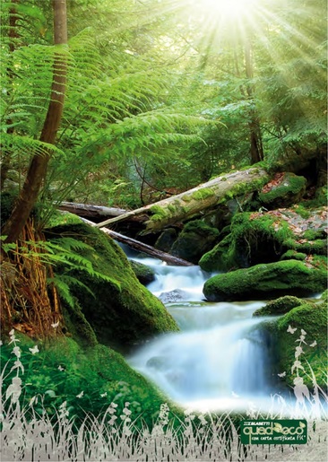 Bilježnica Linea ecologica quadeco, A4, linije, meki uvez