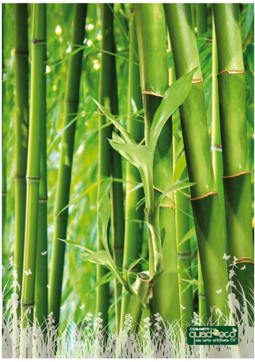 Bilježnica Linea ecologica quadeco, A4, linije, meki uvez