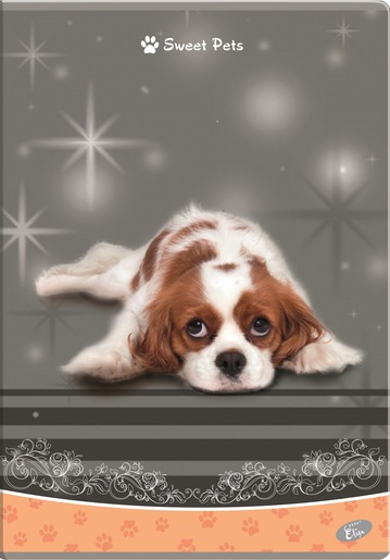 Bilježnica Sweet pets, A4, geometrijska, meki uvez