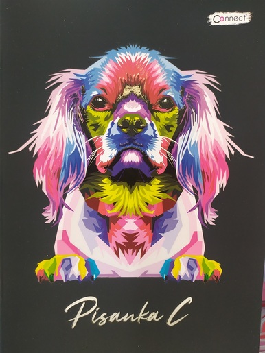 Pisanka C za drugi i treći razred