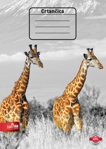 Crtančica za prvi razred Lipa Mill