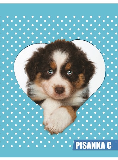 Pisanka C za drugi i treći razred