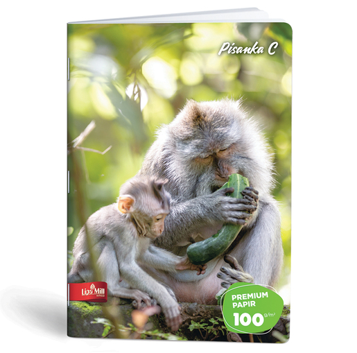 Pisanka C za drugi i treći razred Lipa Mill