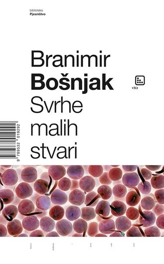 Svrhe malih stvari, Bošnjak, Branimir