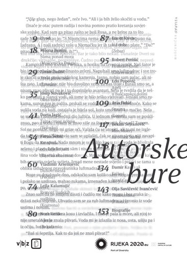Autorske bure