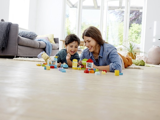 LEGO DUPLO Kutija s kockama 10913