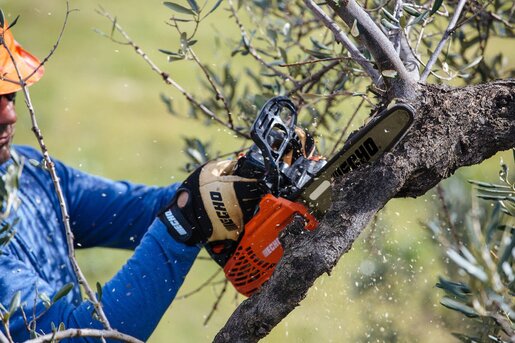 ECHO motorna pila CS-2511TES/25