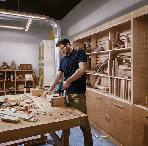 BOSCH Professional akumulatorska bušilica-izvijač GSR 12V-30 - SAMO ALAT