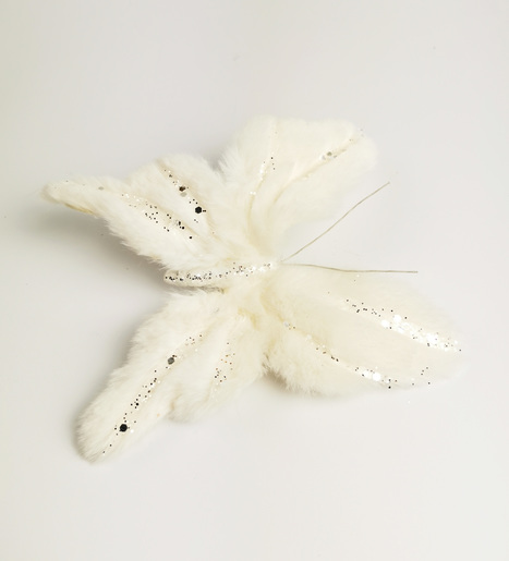 Krzneni leptir 92612